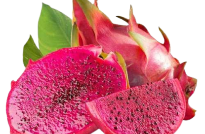 خوشبو کننده رزیتو با رایحه رد دراگون