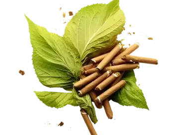 خوشبو کننده رزیتو با رایحه تنباکو و نعناع هندی