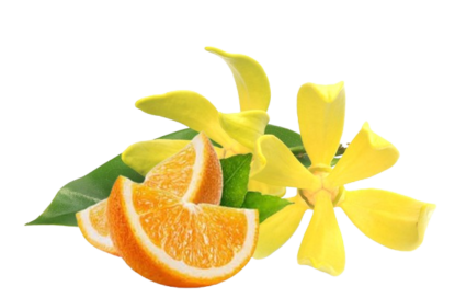 خوشبوکننده رزیتو با رایحه پرتقال و یلانگ یلانگ