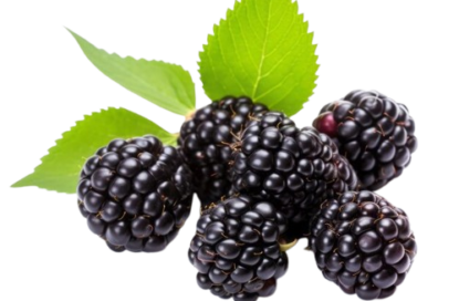 خوشبوکننده رزیتو با رایحه تمشک