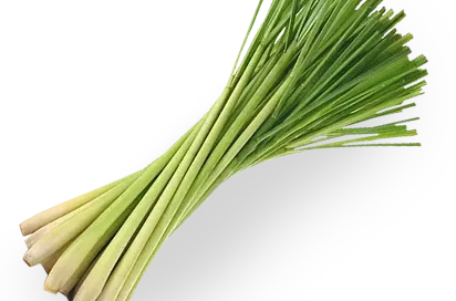 خوشبو کننده رزیتو با رایحه لیموی گیاهی