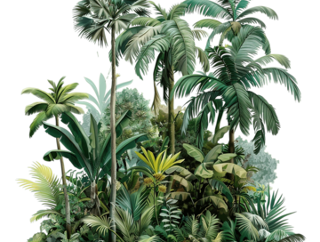 خوشبوکننده رزیتو با رایحه جنگل